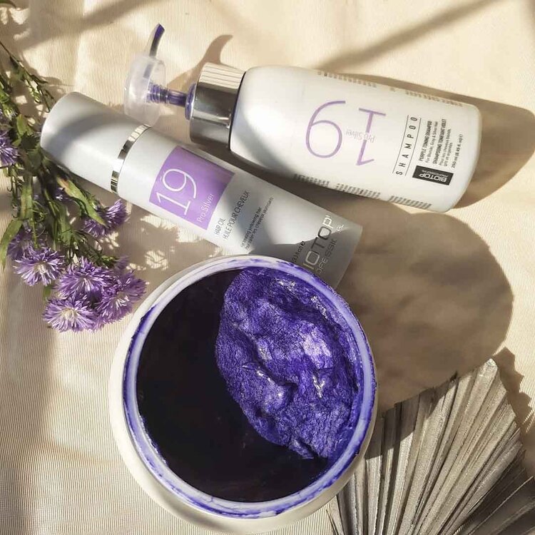 BIOTOP PROFESSIONAL 19 Pro Silver | Masque pour Cheveux Jaunissants – Correction des Reflets Jaunes et Soin Nourrissant