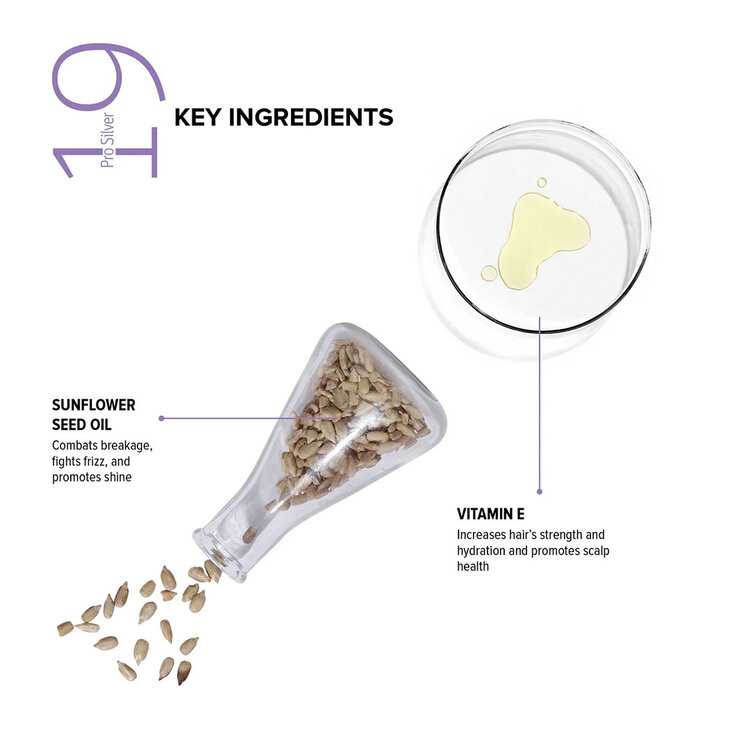 BIOTOP PROFESSIONAL 19 Pro Silver | Masque pour Cheveux Jaunissants – Correction des Reflets Jaunes et Soin Nourrissant