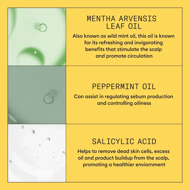 NIOXIN Pro Clinical Système 1 | Shampooing – Cheveux Naturels Légèrement Clairsemés