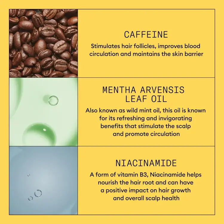 NIOXIN Pro Clinical Système 1 | Traitement Épaississant – Cheveux Naturels Légèrement Clairsemés