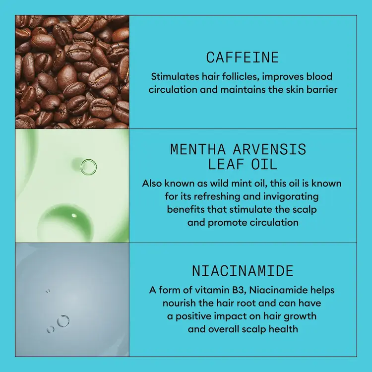 NIOXIN Pro Clinical Système 3 | Traitement Épaississant – Cheveux Colorés Légèrement Clairsemés