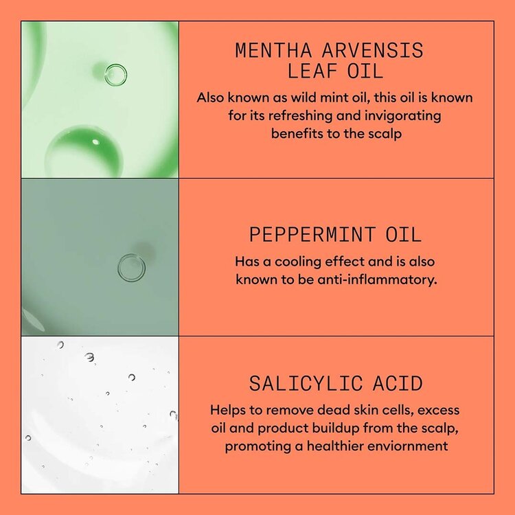 NIOXIN Pro Clinical System 4 | Shampoo – For Colored Hair with Advanced Thinning