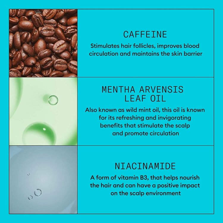 NIOXIN Pro Clinical System 3 | Thickening Treatment – For Colored Hair with Light Thinning