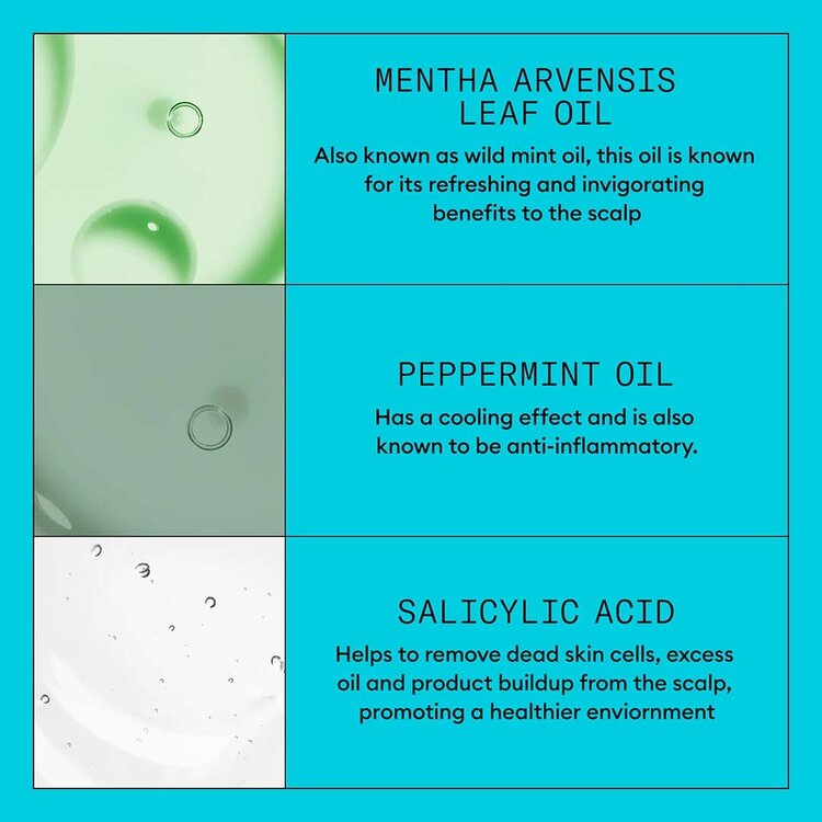 NIOXIN Pro Clinical System 3 | Shampoo – For Colored Hair with Light Thinning