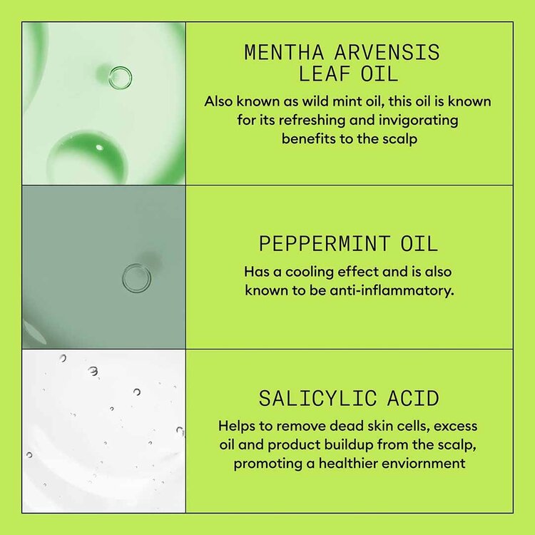 NIOXIN Pro Clinical Système 2 | Shampooing – Cheveux Naturels avec Chute Avancée