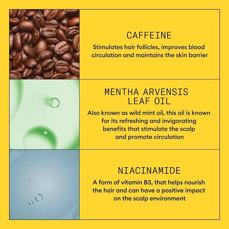 NIOXIN Pro Clinical System 1 | Thickening Treatment – For Natural Hair with Light Thinning