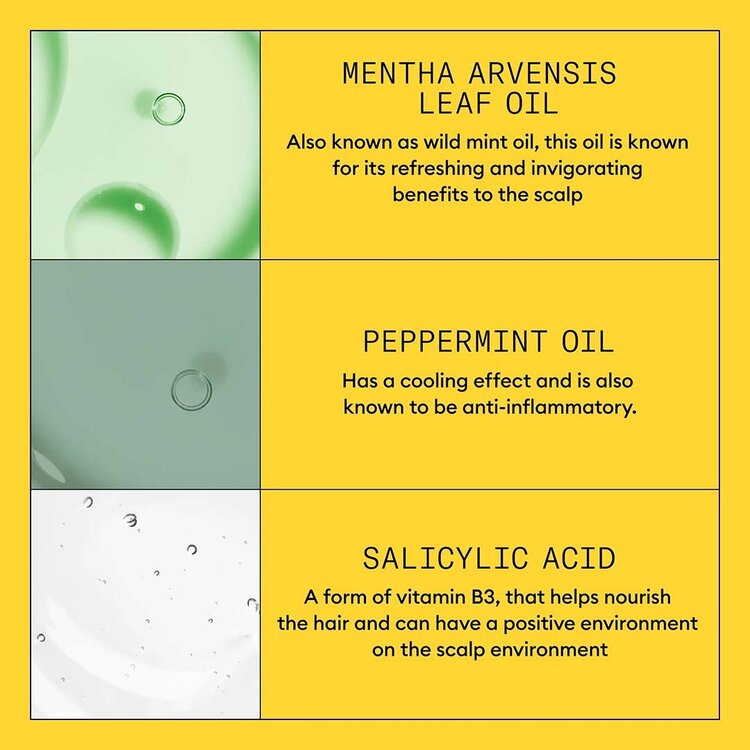 NIOXIN Pro Clinical Système 1 | Shampooing – Cheveux Naturels Légèrement Clairsemés