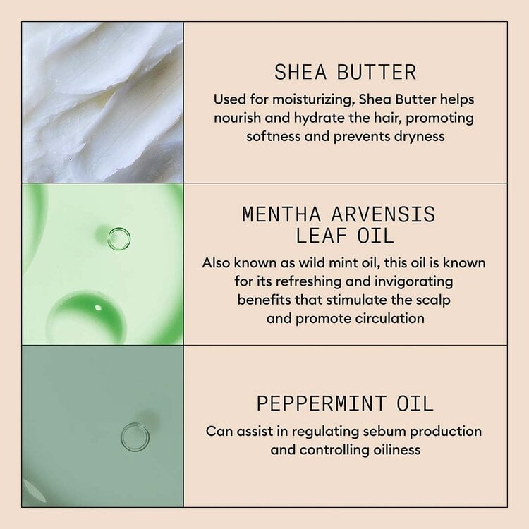 NIOXIN Pro Clinical Scalp | Exfoliant Purifiant – Nettoie et Purifie le Cuir Chevelu