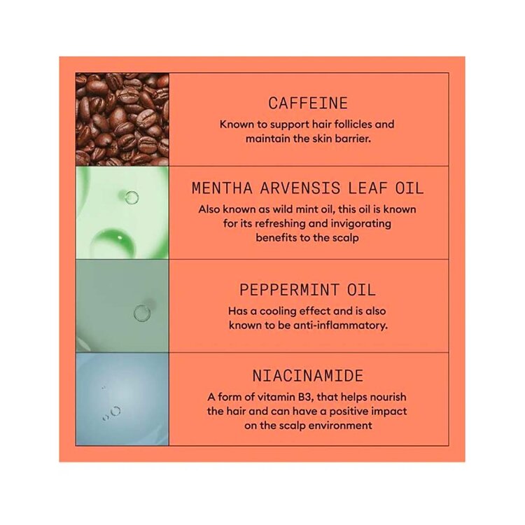 NIOXIN Pro Clinical Système 4 | Trousse d’Essai – Cheveux Colorés avec Chute Avancée