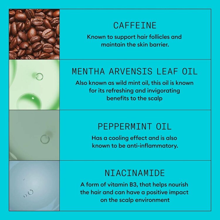 NIOXIN Pro Clinical Système 3 | Trousse de Départ – Cheveux Colorés Légèrement Clairsemés