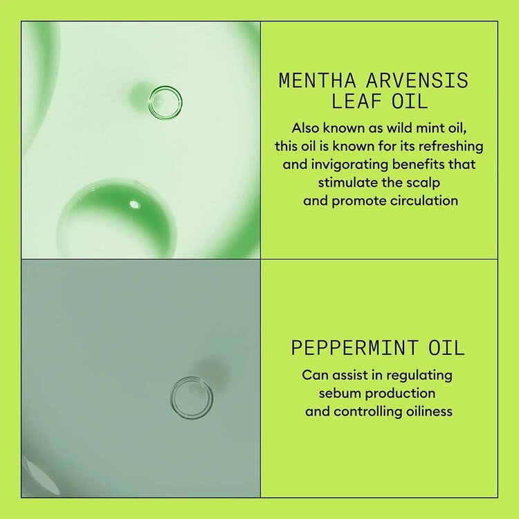 NIOXIN Pro Clinical Système 2 | Revitalisant - Cheveux Naturels avec Chute Avancée