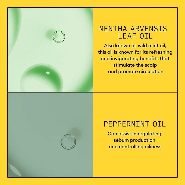 NIOXIN Pro Clinical Système 1 | Revitalisant – Cheveux Naturels Légèrement Clairsemés