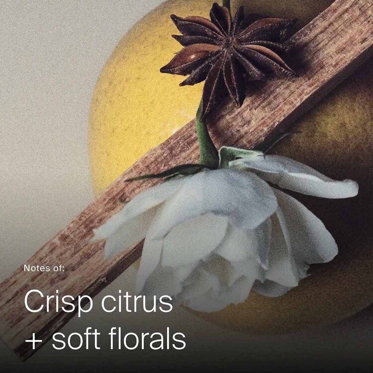 LIVING PROOF Perfect Hair Day | Advanced Clean Shampooing Sec — Propreté Réelle & Fini Soyeux