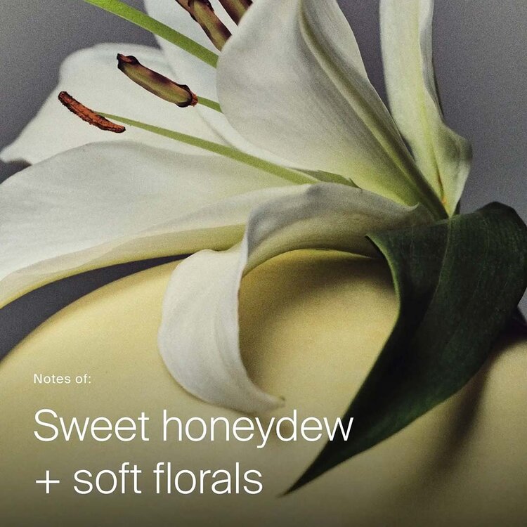 LIVING PROOF Full | Living Proof Dry Volume & Texture Spray