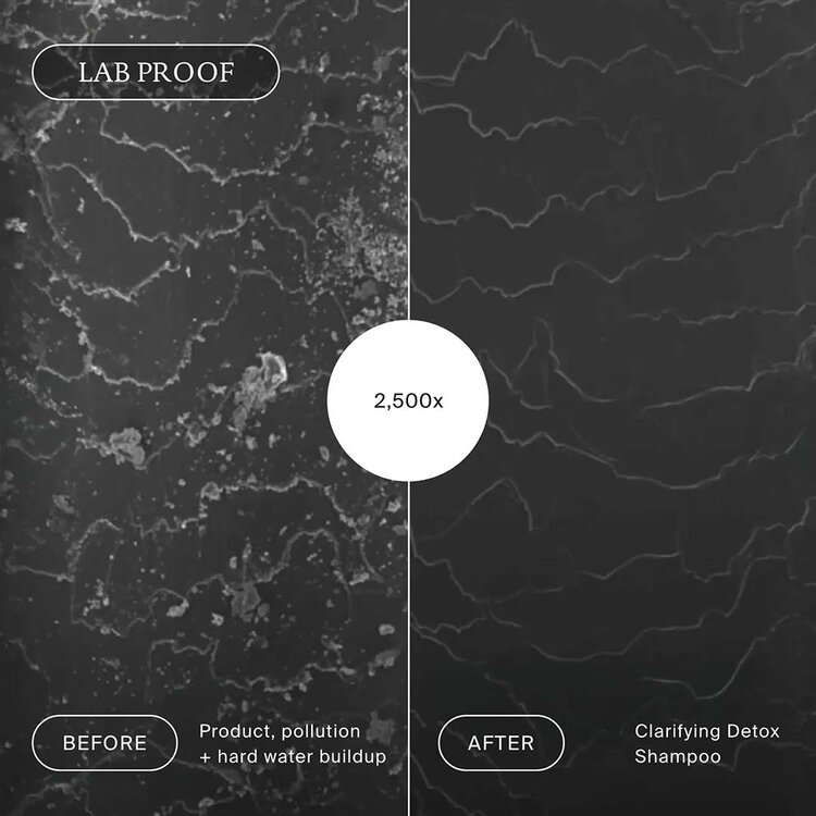 LIVING PROOF Clarifying Detox | Living Proof Deep Cleansing Detox Shampoo