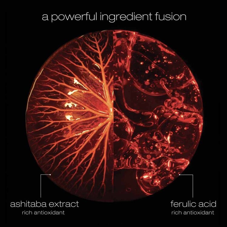 SHU UEMURA Ashita Supreme | Coffrets de Printemps 2026 - Rituel de revitalisation intense cuir chevelu et cheveux