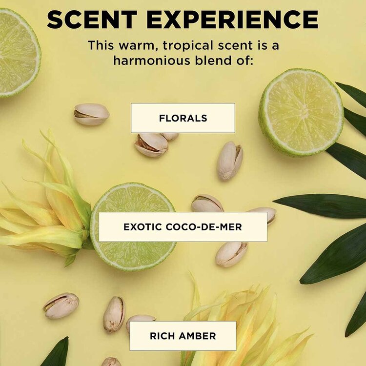 DESIGN.ME Bounce.Me | Ensemble Boucles | Coffret Printemps 2026