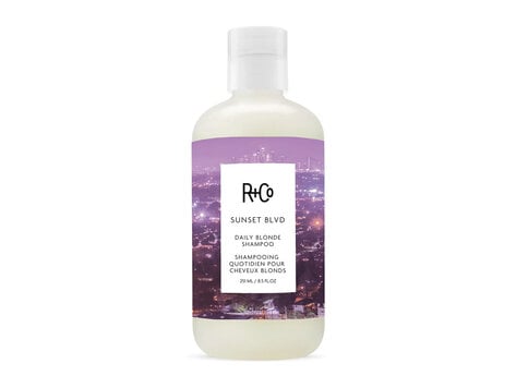 R+Co Sunset Blvd | Daily Blonde Shampoo