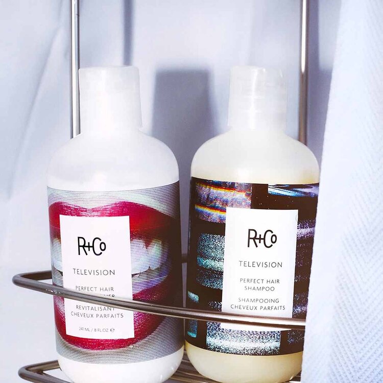R+Co Television | Perfect Hair Shampoo — Softness, Shine and Volume for Flawless Hair