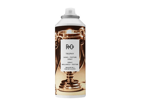 R+Co Trophy | Shine + Texture Spray