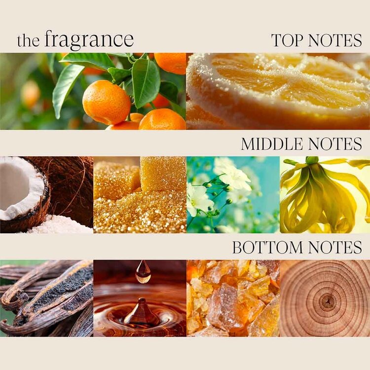 L'ANZA Healing Curls | Micro-Lather Shampoo - Gentle Curl Cleanser
