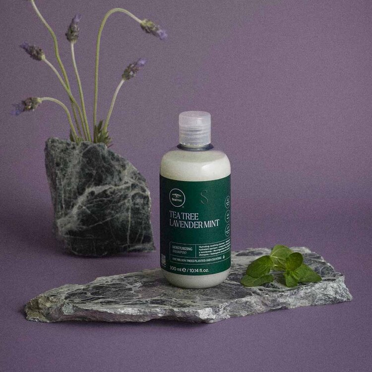 PAUL MITCHELL Tea Tree Lavender Mint | Moisturizing Shampoo - Gently Cleanses And Deeply Hydrates