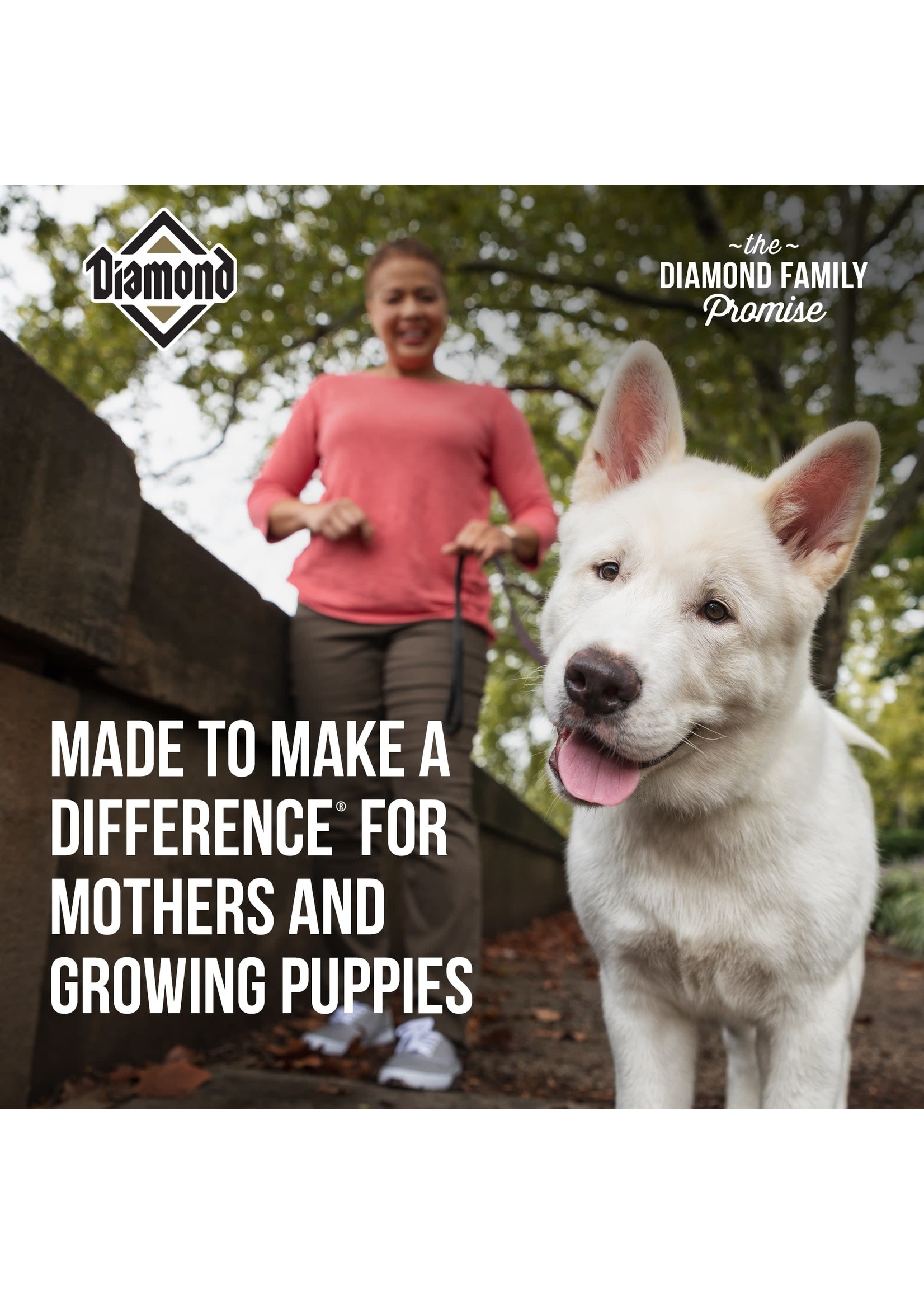 Where Is Diamond Dog Food Made At