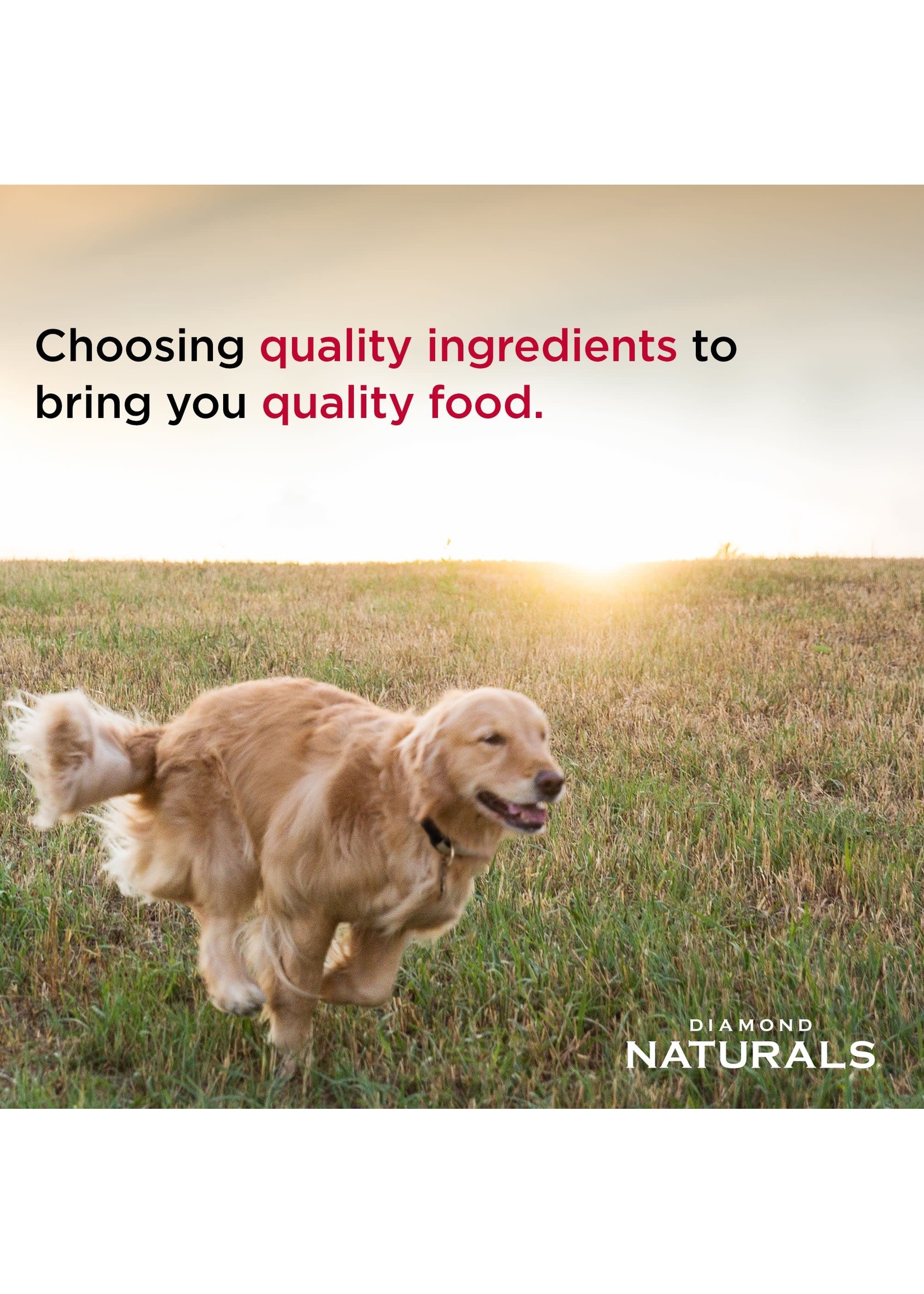 Is There A Recall On Diamond Dog Food