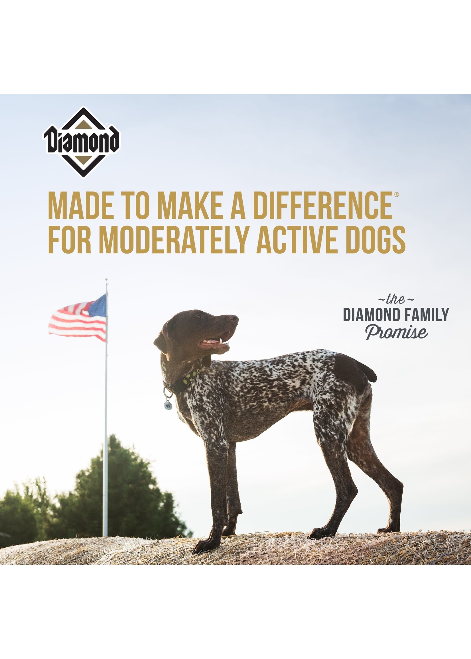 Where Is Diamond Dog Food Made At