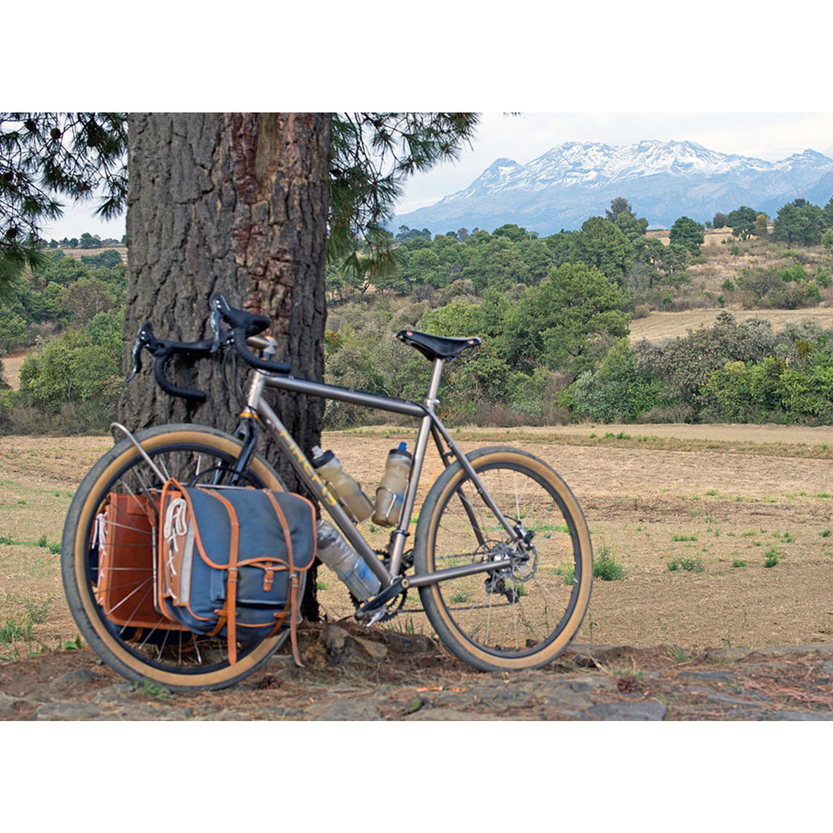 Rene Herse Cycles Rene Herse Rat Trap Pass TC 26" x 2.3"