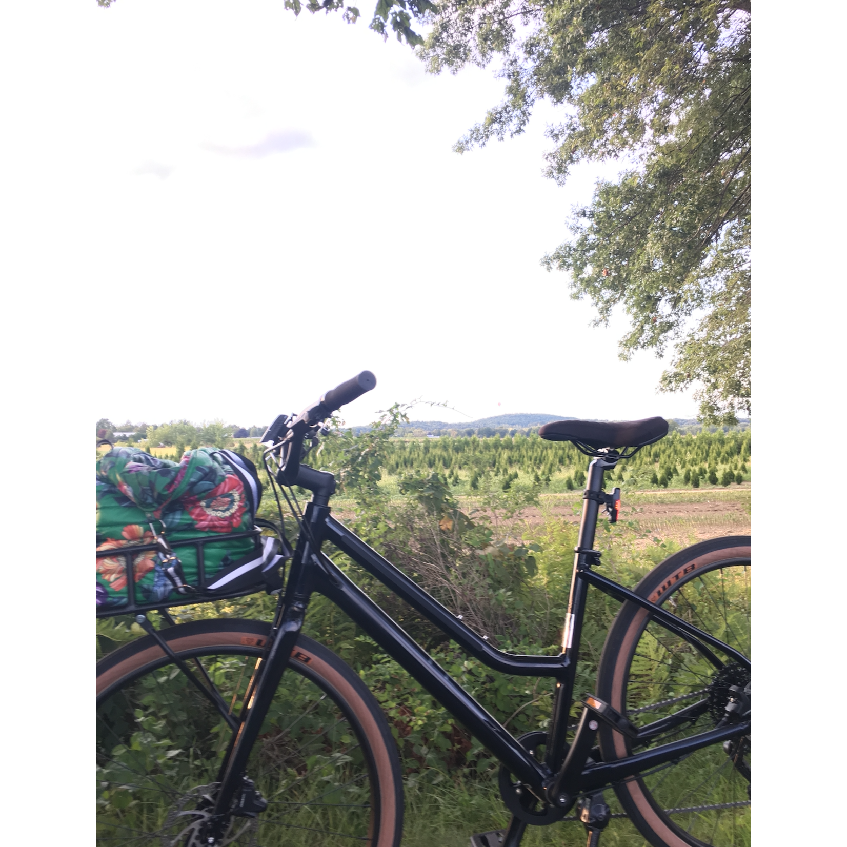 WTB WTB Horizon Tire