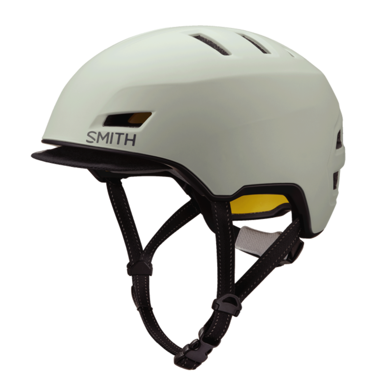 Smith Optics Smith Express MIPS Helmet