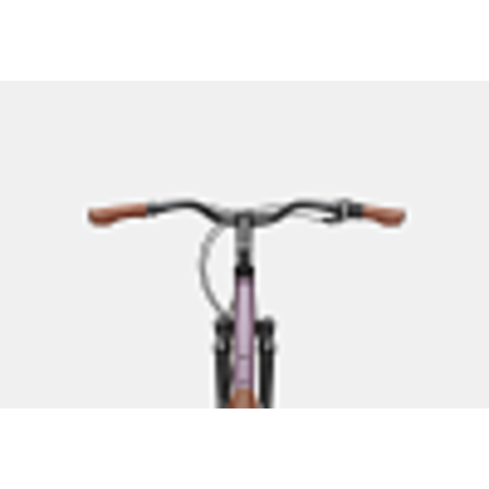 Cannondale Cannondale Adventure 2