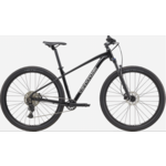 Cannondale Cannondale Trail 2