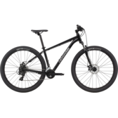 Northampton Bicycle