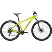 Northampton Bicycle