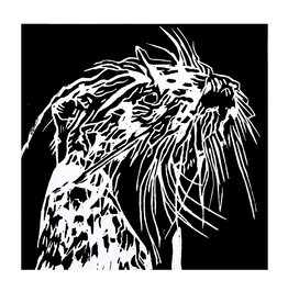 Northern River Otter (Lino, 15/50)