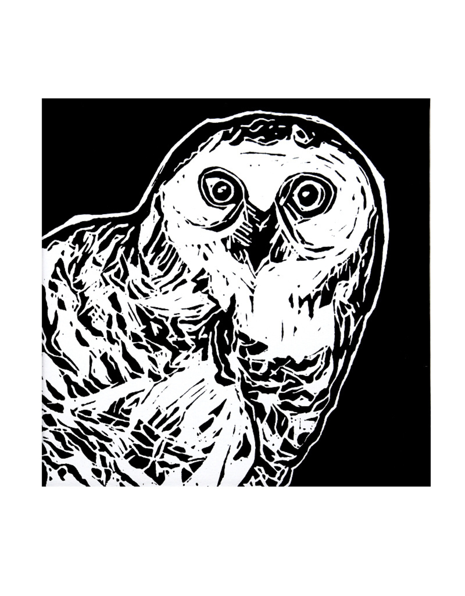 Snowy Owl (Lino, 17/50)