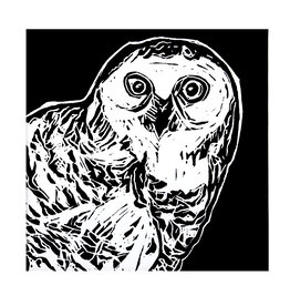 Snowy Owl (Lino, 17/50)