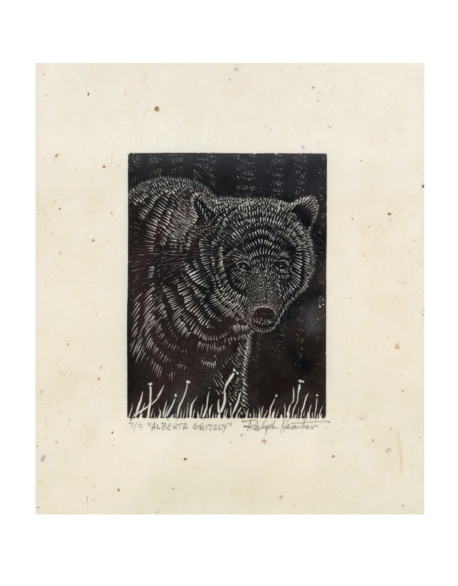 Alberta Grizzly - Wood Engraving