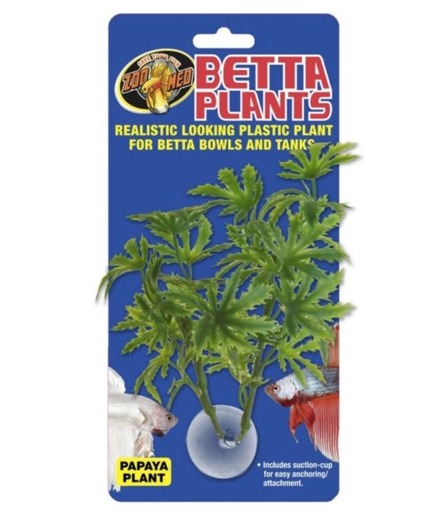 Zoo Med Betta Plant Papaya