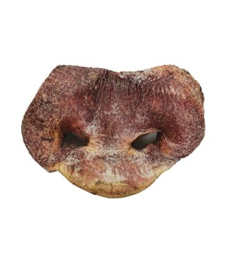 Vital Essentials RAW BAR Freeze-Dried Pig Snouts