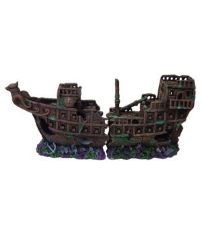 Viking Shipwreck