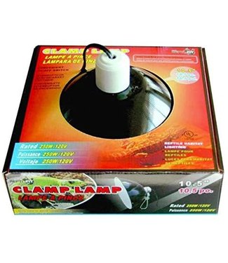 Clamp Lamp 10in