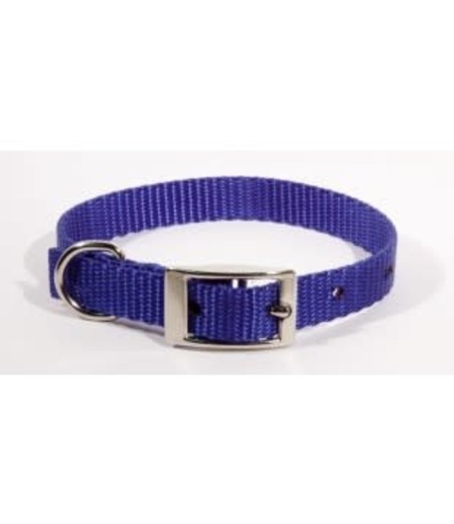 Ak-9 Nylon Collar 5/8in x 16in Blue