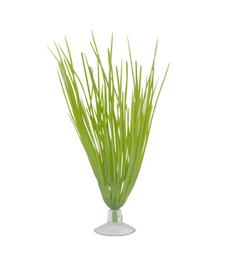 Marina Betta Kit Hairgrass Plant With Suction Cup 12.7cm