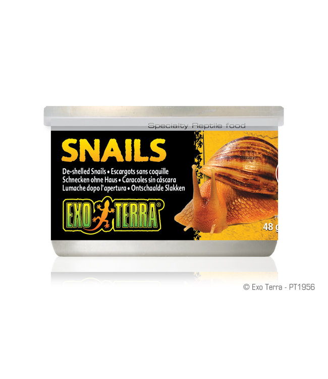 Exo Terra Canned Snails (No Shell) 48 g