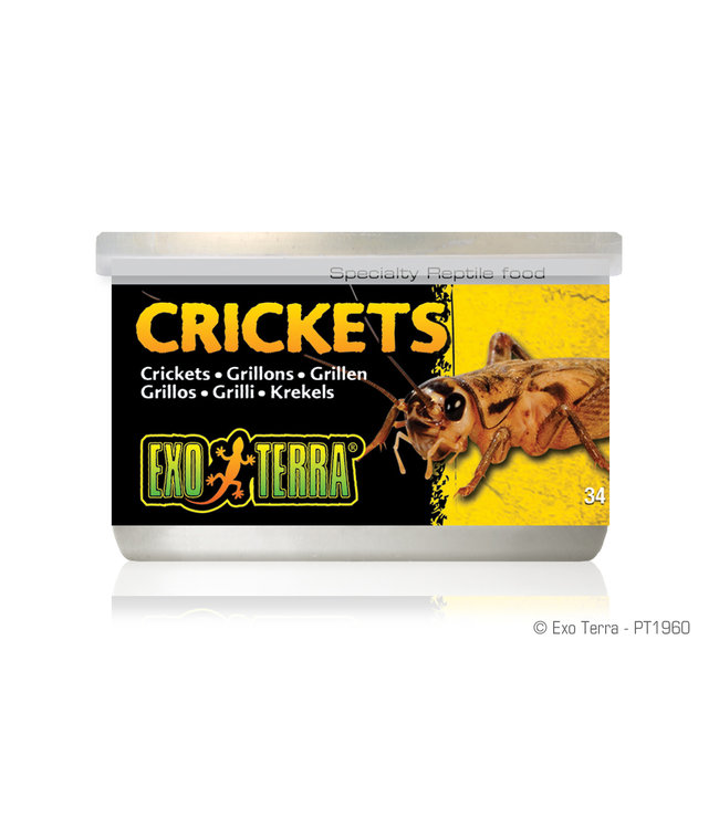 Exo Terra Canned Crickets - 34 g (1.2 oz)