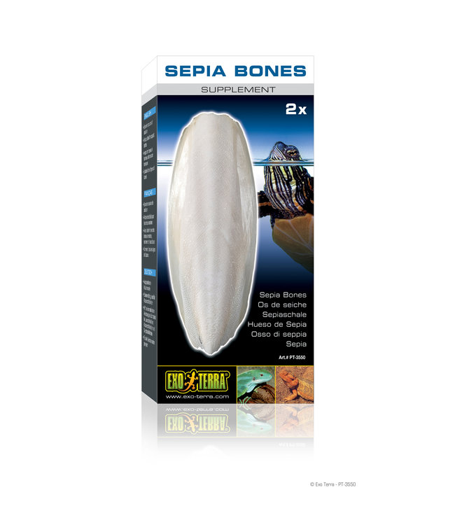 Exo Terra Sepia Bone (cuttlebone) for Turtles 2pk