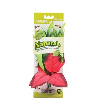 Marina Naturals Red & Green Pickerel Silk Plant Medium 9-10in